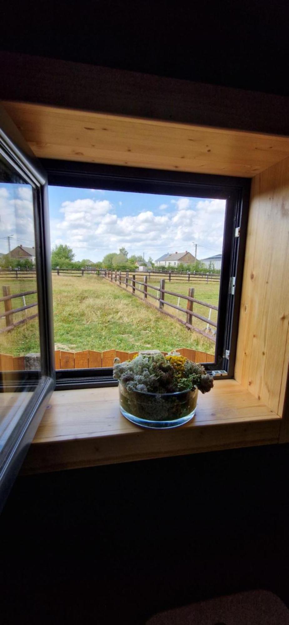 Les Tiny Du Pre Mathy - Logements Insolites Avec Jacuzzi A Profondeville Kamer foto